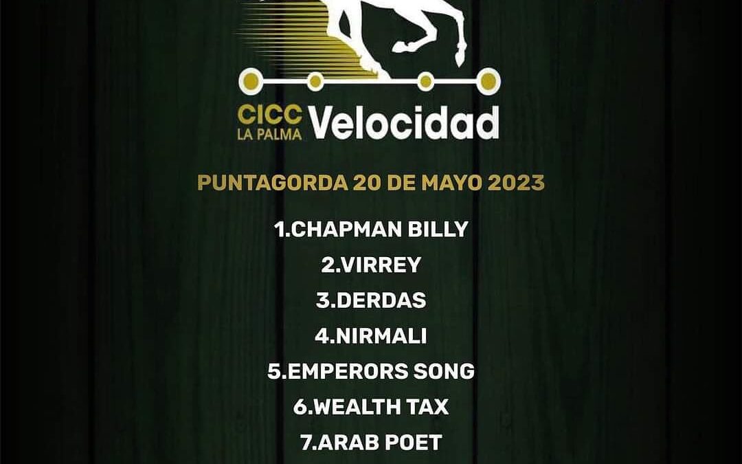 La modalidad de velocidad de la VIII edición de La Palma Ecuestre se celebra el 20 de mayo en Puntagorda