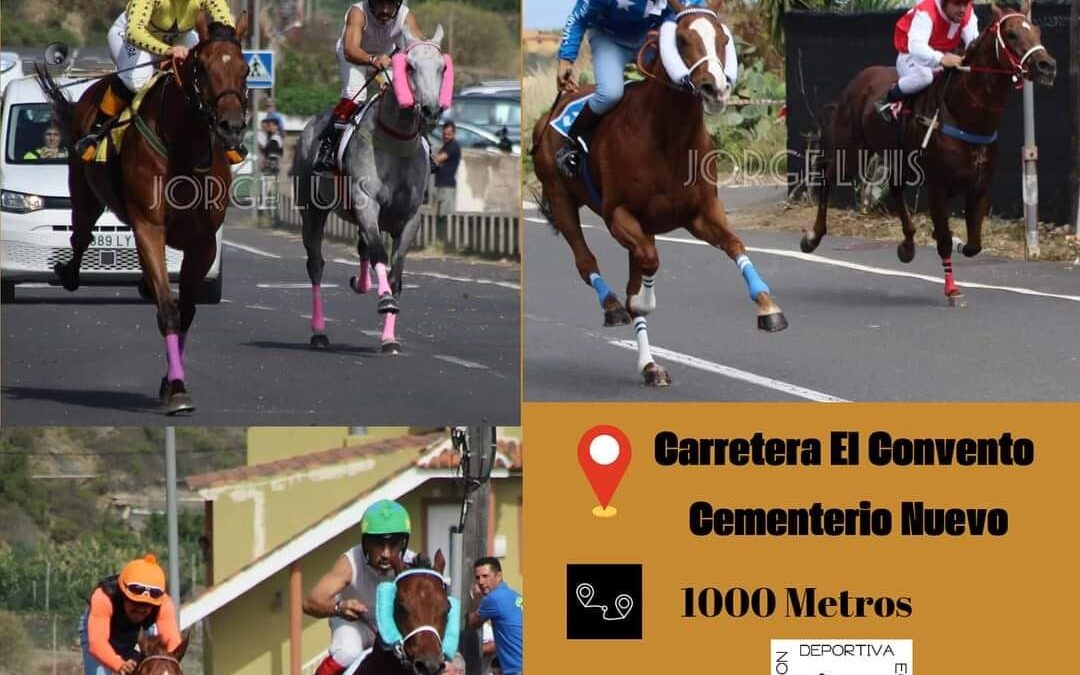 Las carreras de caballos vuelven a La Guancha, en el norte de Tenerife