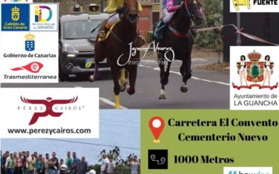 La Guancha celebra este sábado una Carrera Tradicional de caballos sobre asfalto
