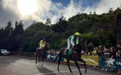 Resultados de la carrera tradicional de caballos celebrada en Barlovento en la final de la VIII Edición La Palma Ecuestre
