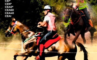 Más de una treintena de deportistas, caballos y yeguas participan en el XXV Campeonato de Canarias de Raid Absoluto este fin de semana