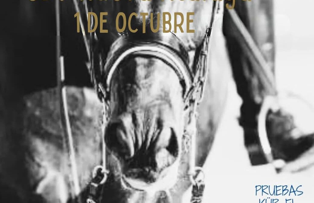 Este domingo tendrá lugar un Concurso de Doma Clásica Territorial en el Club Hípico Nueva Atalaya