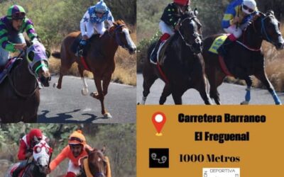 Güímar acoge la primera fase puntuable del Campeonato de Tenerife 2024 de carreras tradicionales de caballos