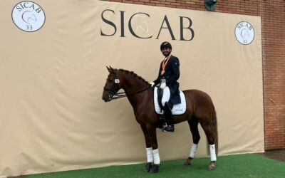 Félix Álvarez Luis y su caballo “Resultón Nadales II” obtienen valiosos resultados en el SICAB 2023