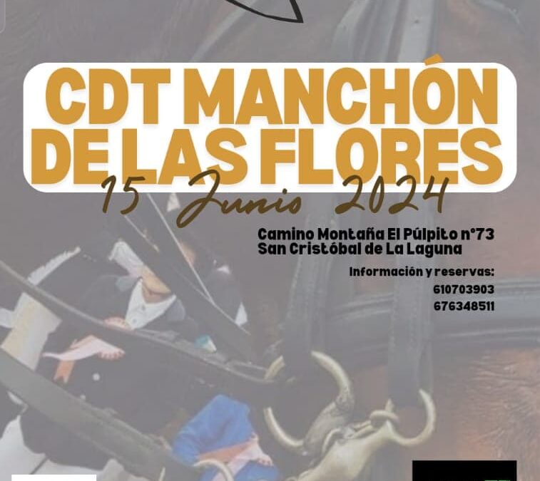 El Centro Hípico Manchón de las Flores acoge este sábado un Concurso Territorial de Doma Clásica y Paralímpica