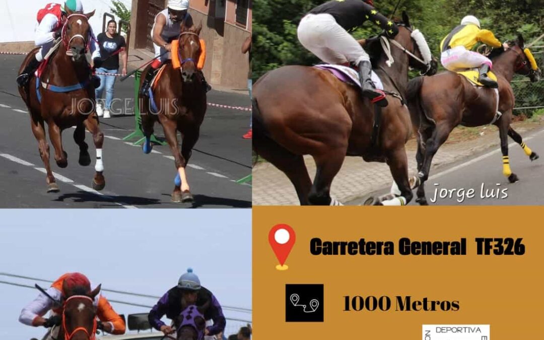 Los Realejos acoge la primera fase eliminatoria del campeonato de Tenerife de carreras tradicionales de caballos