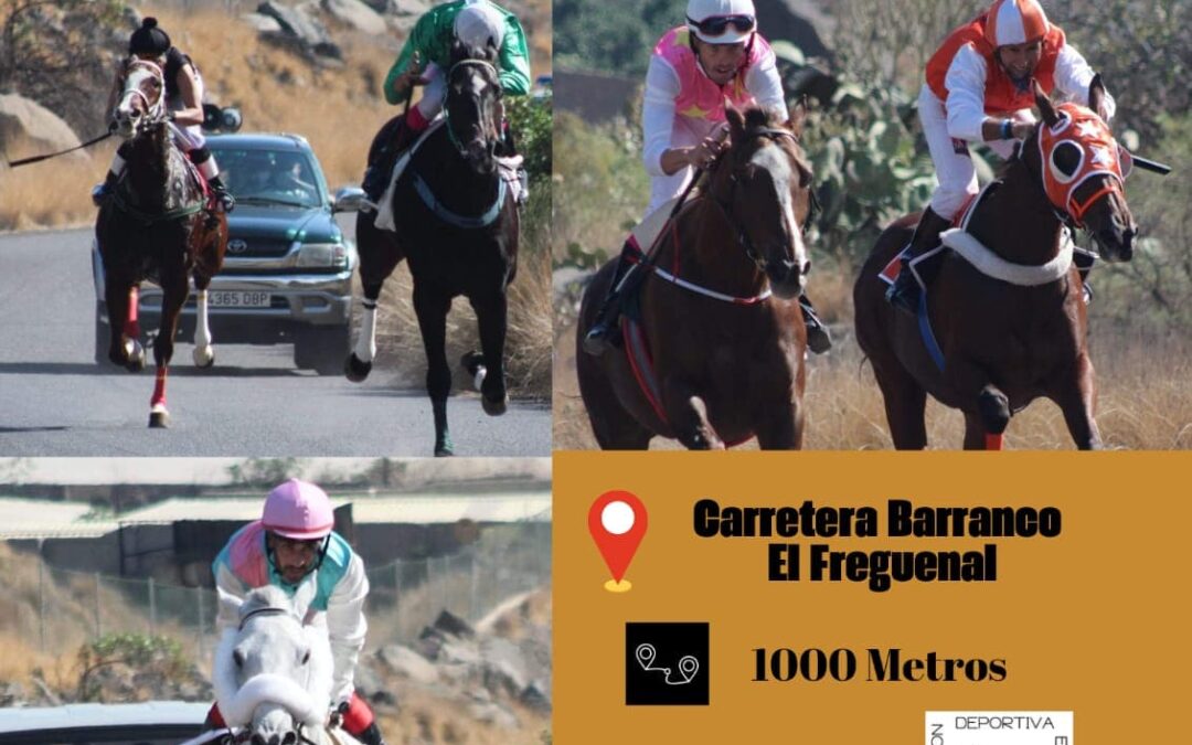 Güímar acoge las Semifinales del Campeonato de Tenerife de Carreras de Caballos