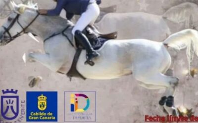 El Centro Hípico New Cortijo Team acoge el Concurso Territorial de Salto de Obstáculos “Navidad 2024”