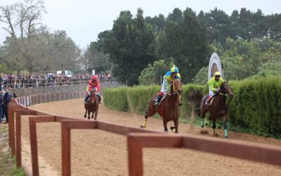 Nueva jornada de carreras tradicionales de caballos en Valleseco con éxito de participación y asistencia