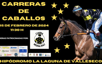 Nueva jornada de carreras de caballos este domingo en el Hipódromo de La Laguna