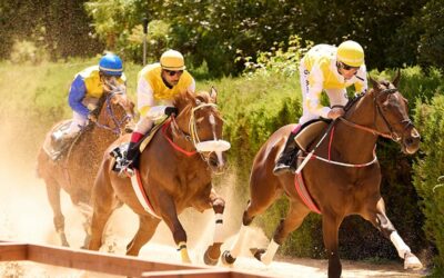 Nueva jornada de carreras de caballos este sábado en Valleseco