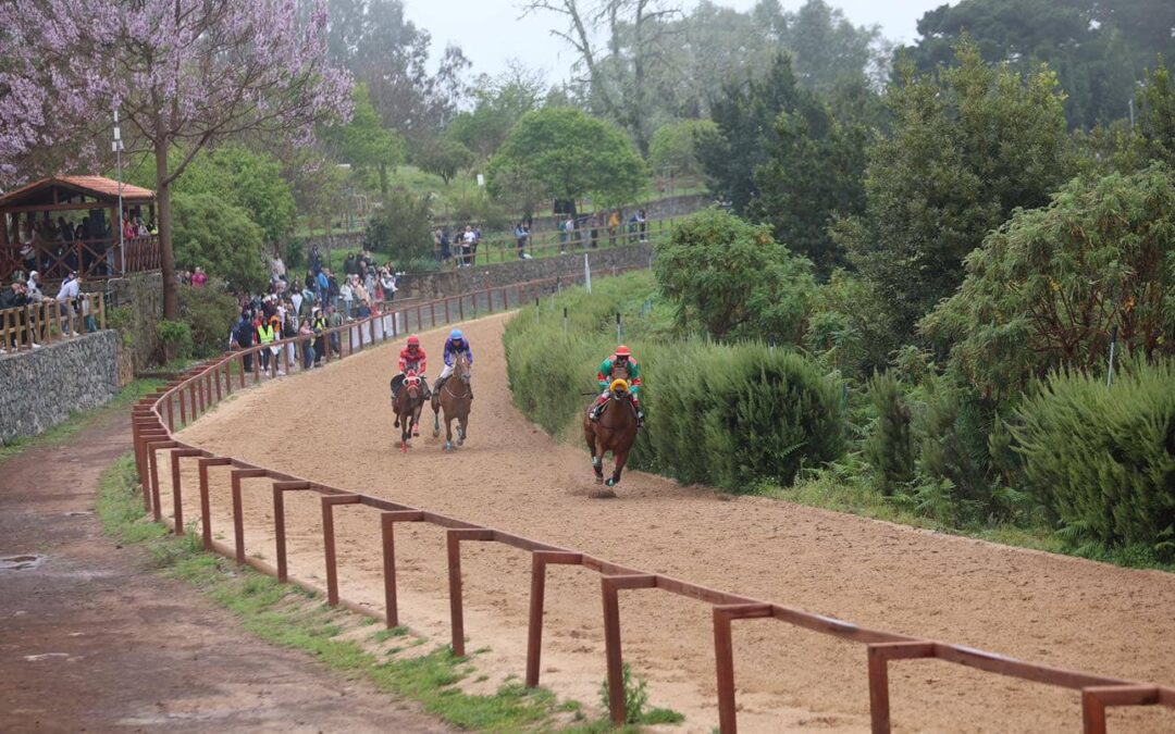 La lluvia no pudo con la jornada de carreras de caballos celebrada el sábado en el Hipódromo de La Laguna