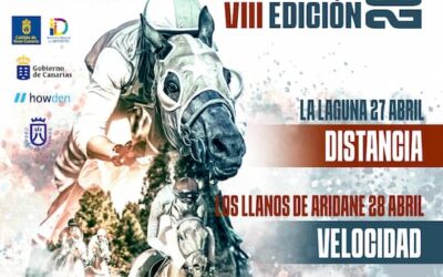 La Isla Bonita acoge la VIII edición de La Palma Ecuestre 2024 con dos jornadas de carreras de caballos
