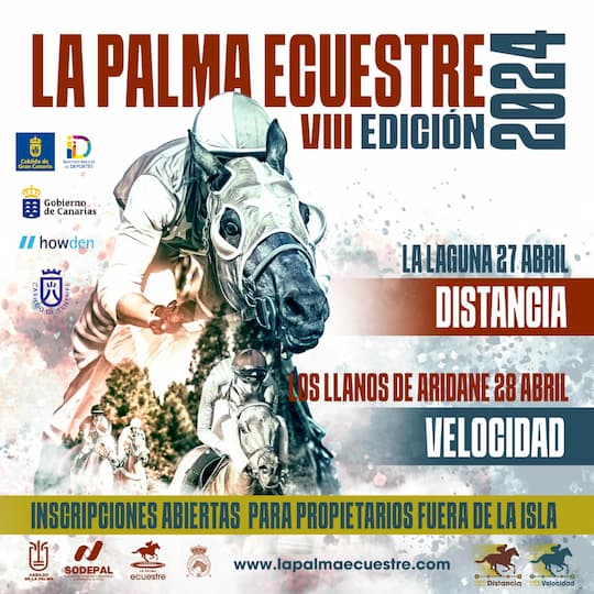 La Isla Bonita acoge la VIII edición de La Palma Ecuestre 2024 con dos jornadas de carreras de caballos