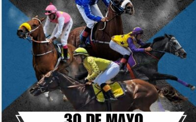 Los Realejos acoge el Campeonato de Canarias de carreras de caballos