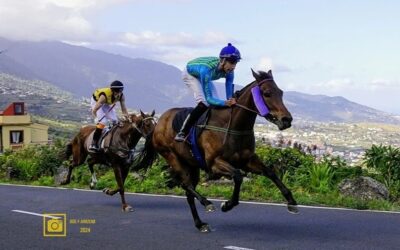 Gran jornada de carreras de caballos en la semifinal de la VIII edición de La Palma Ecuestre