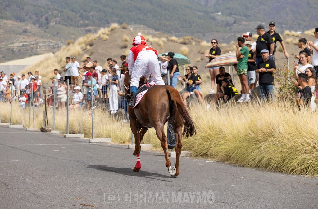 Las Carreras Tradicionales viven una gran jornada en el Municipio de Güímar, Tenerife