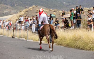 Las Carreras Tradicionales viven una gran jornada en el Municipio de Güímar, Tenerife