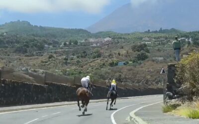 La Guancha acogió la segunda fase puntuable para el campeonato de Tenerife de carreras tradicionales de caballos