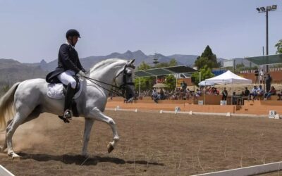 Aridane Alonso y Chitón de Reyes se coronan en el XXVIII Día del Caballo de Pino Santo Alto