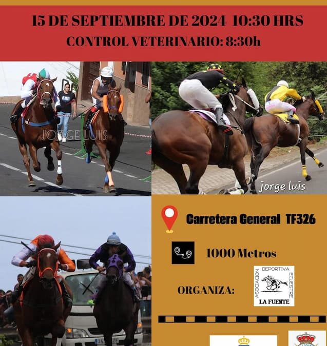 Los Realejos acoge la primera fase eliminatoria del campeonato de Tenerife de carreras tradicionales de caballos