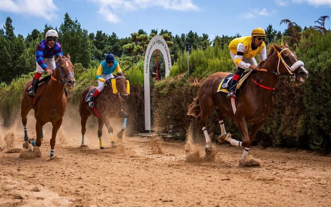 Valleseco da inicio a la temporada de la tercera copa de hípica San Vicente Ferrer con una emocionante jornada de carreras de caballos