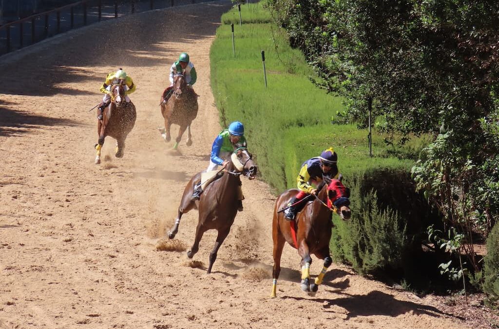 Éxito rotundo en la tercera Copa Hípica San Vicente Ferrer en Valleseco