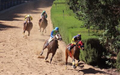 Éxito rotundo en la tercera Copa Hípica San Vicente Ferrer en Valleseco