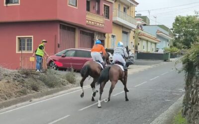 Los Realejos vivió la primera fase eliminatorio del campeonato de Tenerife de carreras con gran expectación