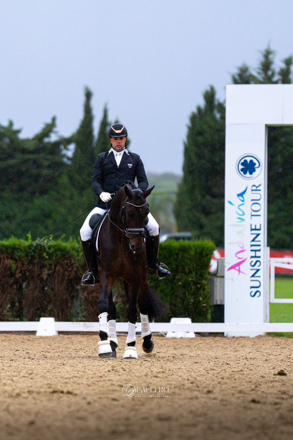 ARIDANE ALONSO DURANTE EL CAMPEONATO DE ESPANTHA DE DOMA DE CABALLOS JOVENES