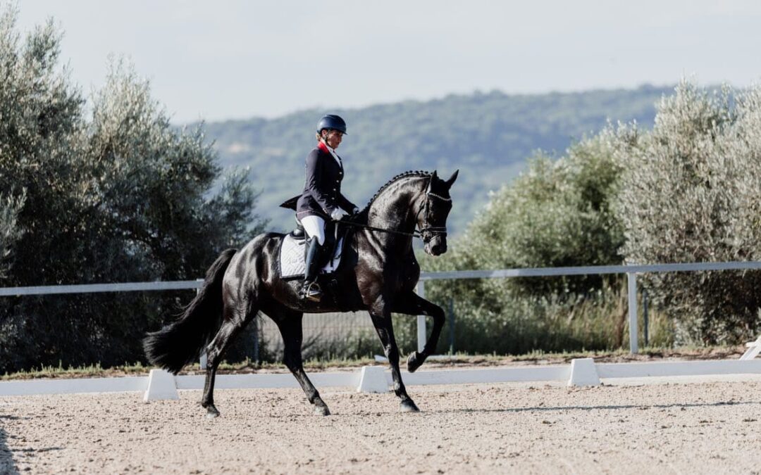 Deportistas canarios destacan en el Campeonato de España de Doma de Caballos Jóvenes