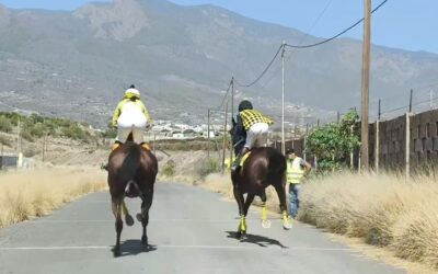 Semifinal llena de adrenalina con las carreras que se corrieron el sábado en Güímar