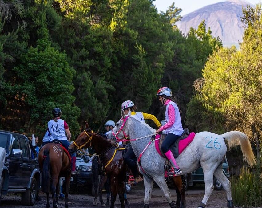 Éxito en el V Raid Hípico Chanajiga en Los Realejos