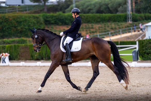 LUCAS GIL DURANTE EL CAMPEONATO DE ESPANTHA DE DOMA DE CABALLOS JOVENES