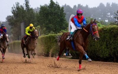 Resultados de las carreras de caballos del pasado 27 de octubre en el Hipódromo de Valleseco