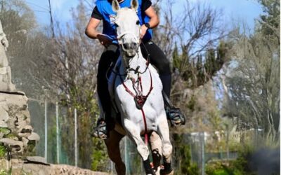 Todo preparado para el XXXIII Raid Hípico La Corona en Los Realejos