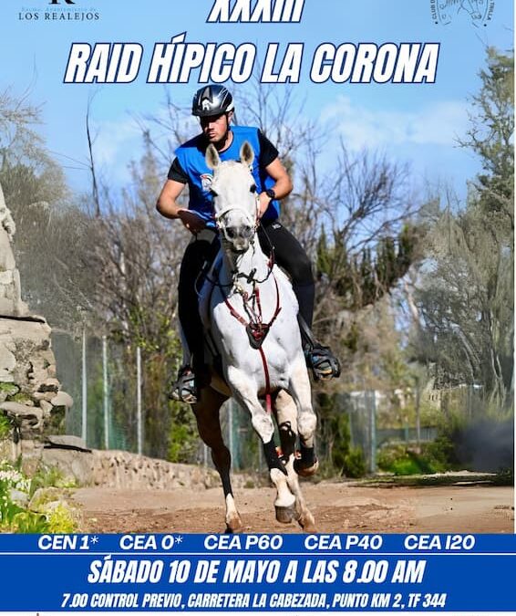 Todo preparado para el XXXIII Raid Hípico La Corona en Los Realejos