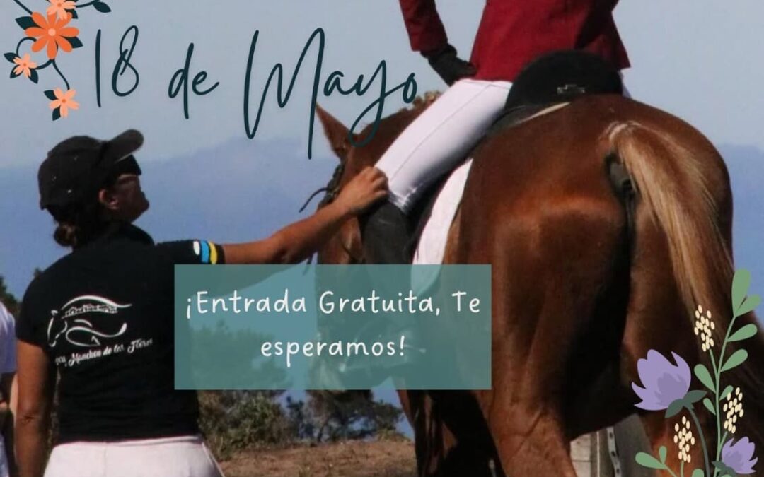 Nuevo concurso territorial de doma clásica y paralímpica en Manchón de las Flores este domingo