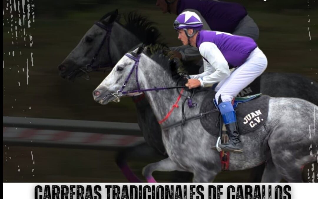 Los Realejos acoge el Campeonato de Canarias de Carreras Tradicionales de Caballos este 30 de mayo