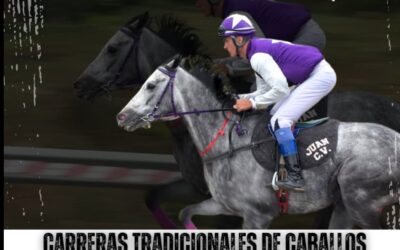 Los Realejos acoge el Campeonato de Canarias de Carreras Tradicionales de Caballos este 30 de mayo
