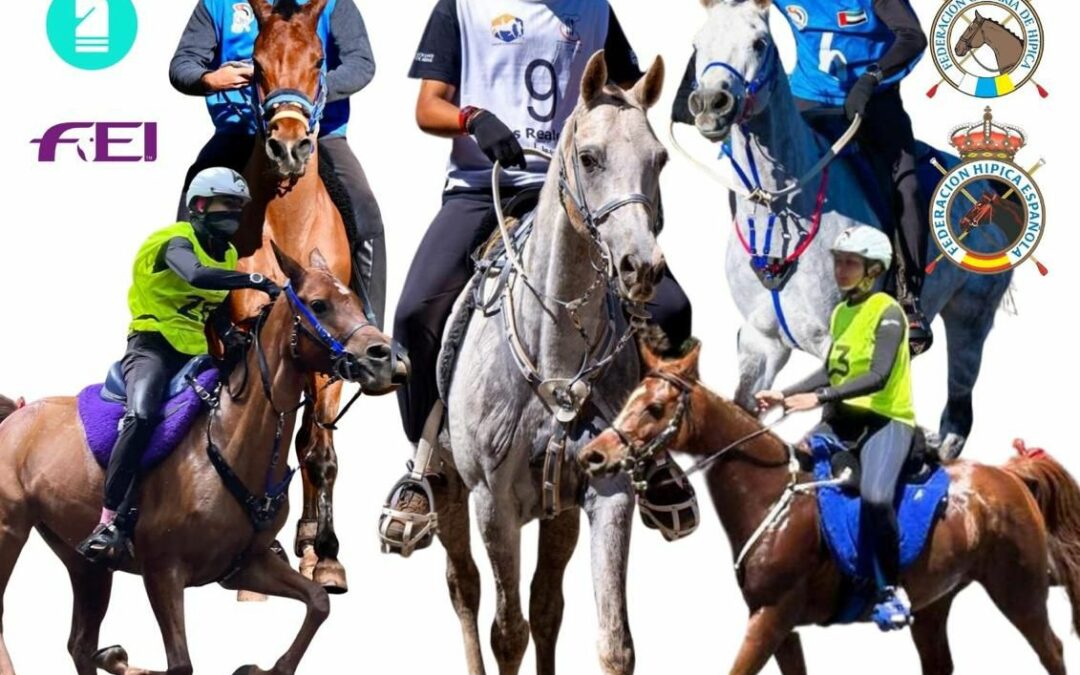 Los Realejos se prepara para acoger el Campeonato de Canarias de raid en Chanajiga
