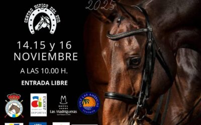 El Centro Hípico del Sur será el escenario que reciba el campeonato de Canarias de doma clásica y paralímpica este fin de semana