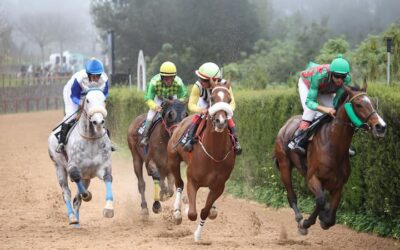 Adrenalina pura en la VI jornada de la III Copa Hípica San Vicente Ferrer en Valleseco