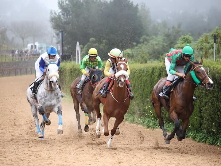 Adrenalina pura en la VI jornada de la III Copa Hípica San Vicente Ferrer en Valleseco