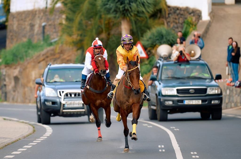 Emoción y velocidad en la gran jornada de carreras tradicionales de caballos en la Villa de Moya  