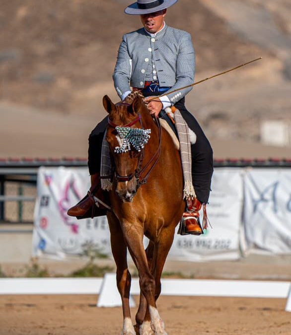 Norberto Melián y Carmelo Santana triunfan en el concurso territorial de doma vaquera celebrado en Maspalomas