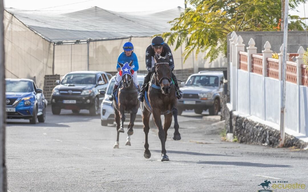 La Palma acoge este fin de semana la IX Edición de las Carreras Tradicionales Ecuestres con dos emocionantes jornadas en Los Llanos de Aridane