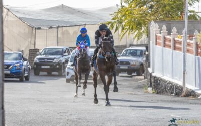 La Palma acoge este fin de semana la IX Edición de las Carreras Tradicionales Ecuestres con dos emocionantes jornadas en Los Llanos de Aridane