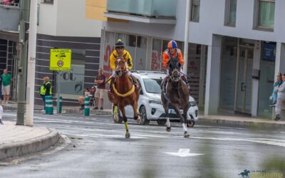 La Palma Ecuestre celebra su gran final el 1 de junio con carreras en la modalidad de velocidad y distancia