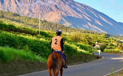 Éxito rotundo en el XXXIII Raid La Corona celebrado en Los Realejos